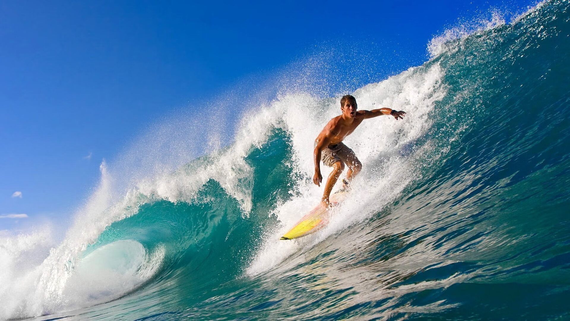 世界杯精彩瞬间:永恒经典,感动全场!,世界杯精彩过人